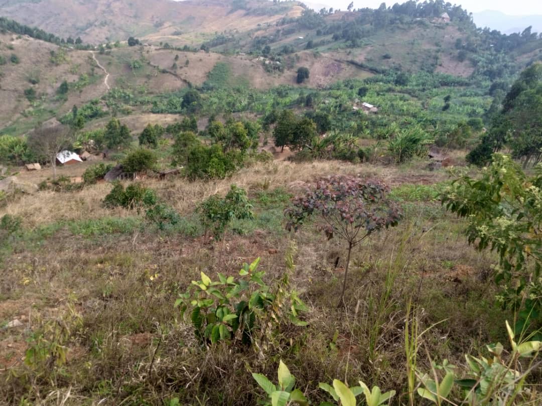 Kalunga-Ishamba: L’eau et la route des véritables fléaux pour la population.