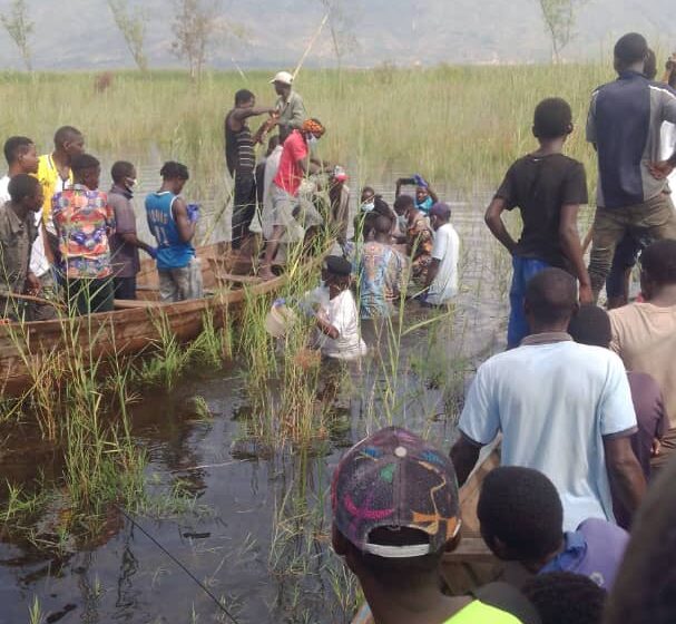 UVIRA : Une personne vient d’être happée par un hippopotame dans la commune de Kavimvira