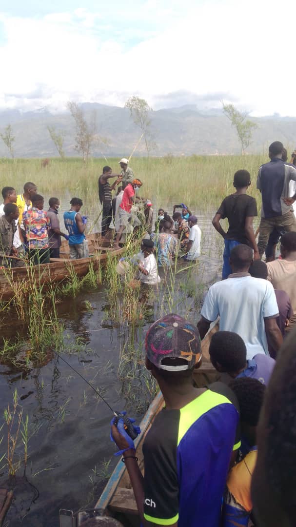 UVIRA : Une personne vient d’être happée par un hippopotame dans la commune de Kavimvira