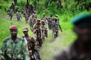 Sud-Kivu : Les rebelles du M23 repoussés par les Fardc en voulant franchir le territoire de Kalehe.